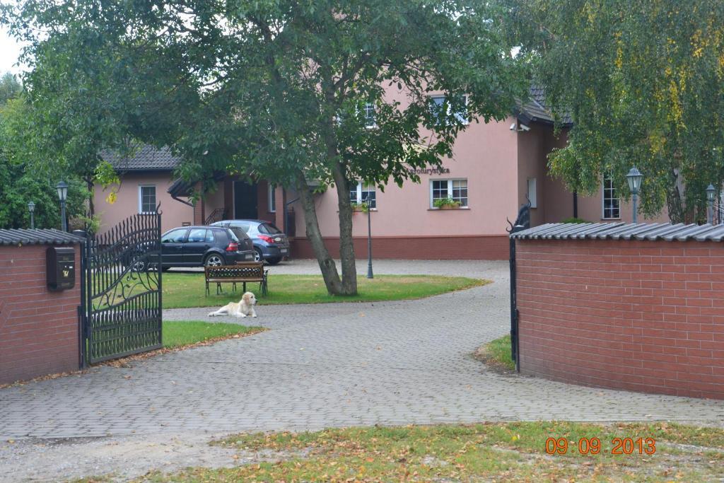 Domki W Zaciszu Rus Room photo